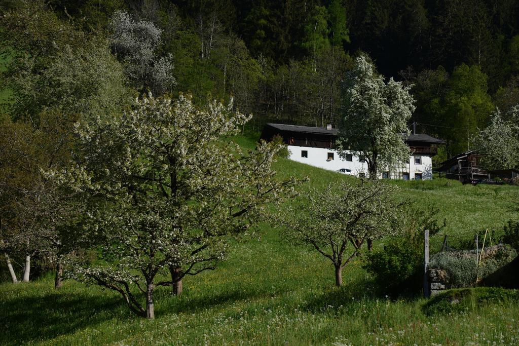 Pension Tina Нойштіфт-ім-Штубайталь Екстер'єр фото